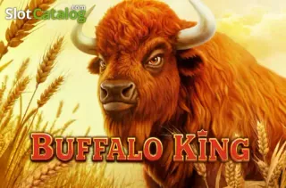 Buffalo King slot by Pragmatic Play at Ninewin Casino