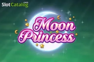 Moon Princess slot by Play'n GO at Ninewin Casino