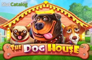 The Dog House slot by Pragmatic Play at Ninewin Casino